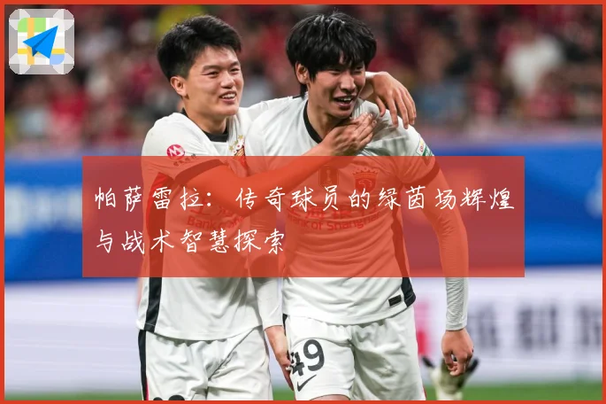 帕萨雷拉：传奇球员的绿茵场辉煌与战术智慧探索