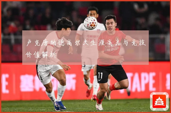 卢克唐纳德高尔夫生涯高光与竞技价值解析