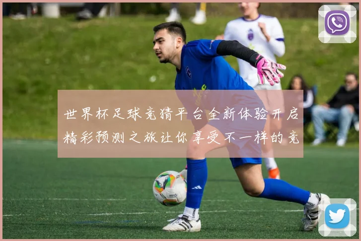世界杯足球竞猜平台全新体验开启精彩预测之旅让你享受不一样的竞猜乐趣
