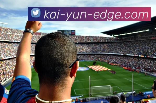 开云平台展示图