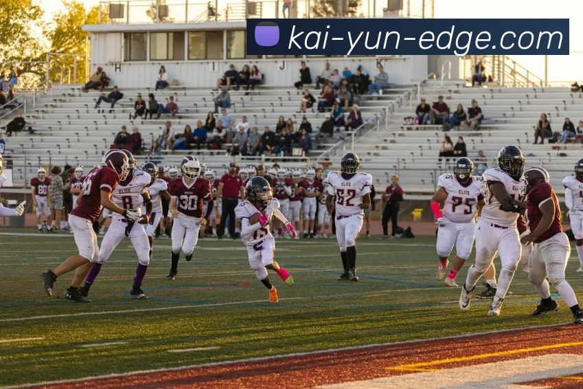 开云官网全站App